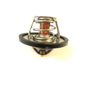 Termostato R19d/kangoo Mlh 89