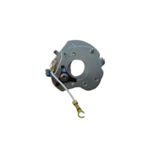 Plaqueta Porta Platino Renault 6 9 11 12 Plateado