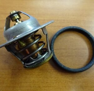Termostato Tra/master 80/89 Mlh