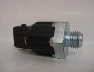 Sensor Detonacion R19/clio