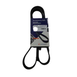 Correa Poly V Renault Fluence M4r 2.0 6k1217 Hutchinson