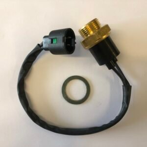 Bulbo Electro Clio 1.6 C/cable