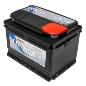 Bateria Williard Dynasty 12x55
