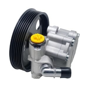 Bomba Direccion Hidraulica Duster